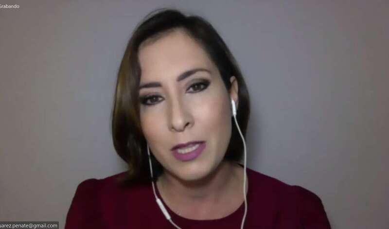 Momento de la intervención de Alicia Suárez en el Pleno telemático de este jueves/TA.